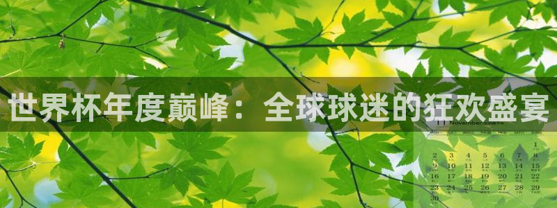 2026年世界杯:世界杯年度巅峰:全球球迷的狂欢盛宴