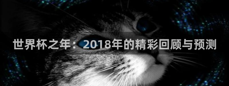 世界杯2026赛制:世界杯之年:2018年的精彩回顾与预测