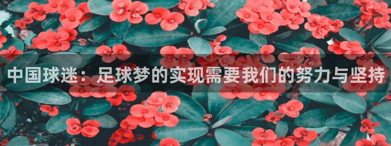 2026世界杯赛程表完整版:中国球迷:足球梦的实现需要我们的努力与坚持
