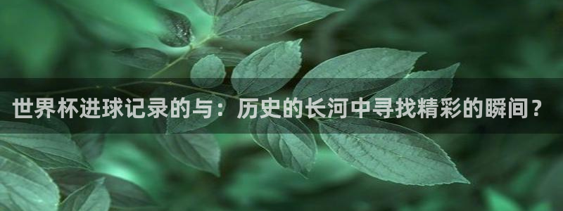 足球世界杯时间:世界杯进球记录的与:历史的长河中寻找精彩的瞬间?
