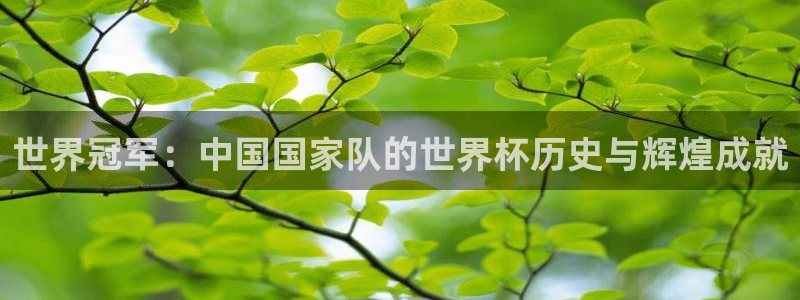 足球世界杯时间:世界冠军:中国国家队的世界杯历史与辉煌成就