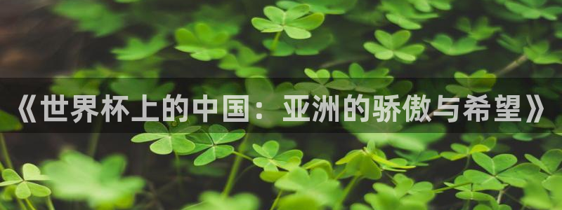 世界杯预选赛亚洲区积分榜:《世界杯上的中国:亚洲的骄傲与希望》