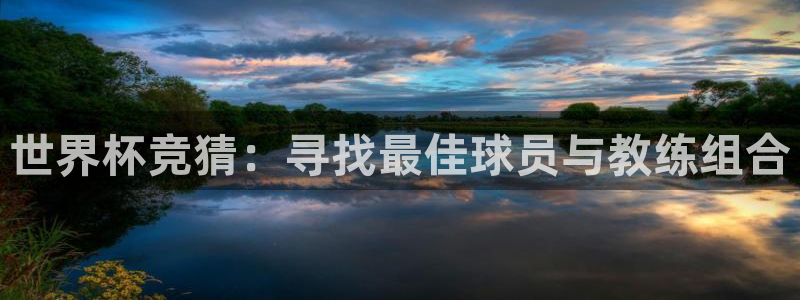 2026年世界杯:世界杯竞猜:寻找最佳球员与教练组合