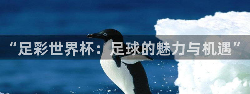 世界杯比赛:“足彩世界杯:足球的魅力与机遇”
