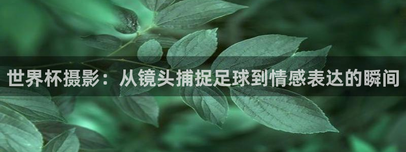 足球世界杯预选赛:世界杯摄影:从镜头捕捉足球到情感表达的瞬间